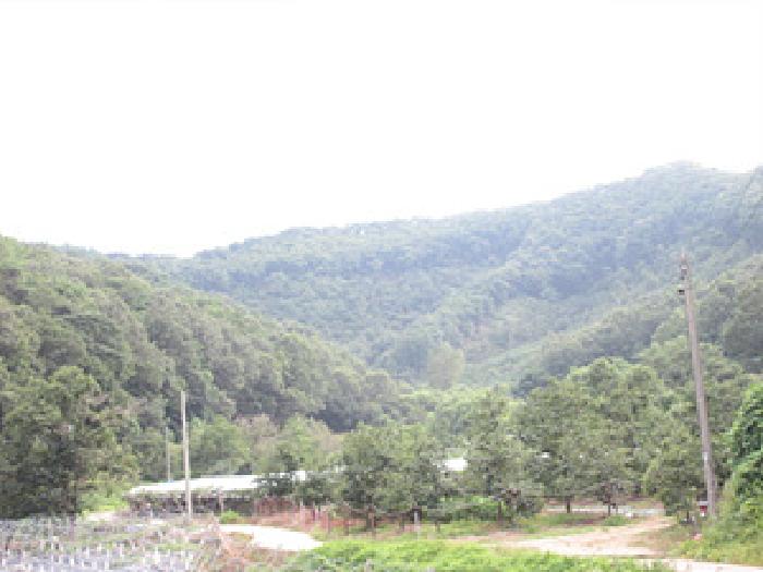 2025타경5394 사진