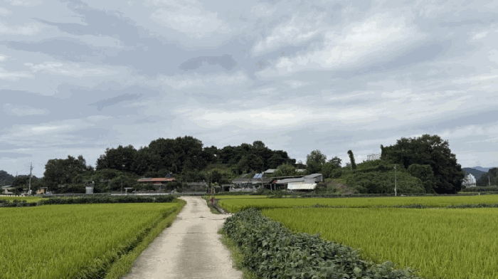 2025타경5409 사진