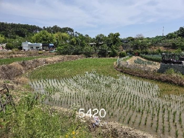 2025타경5420 사진