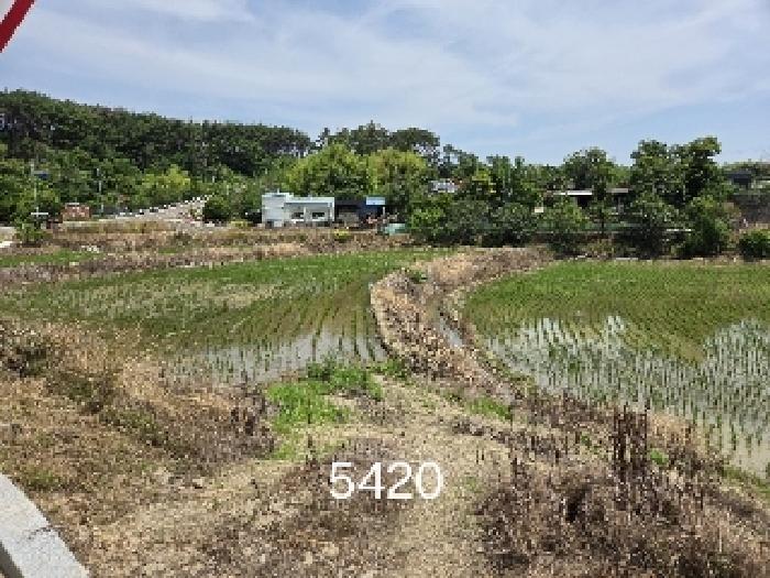 2025타경5420 사진