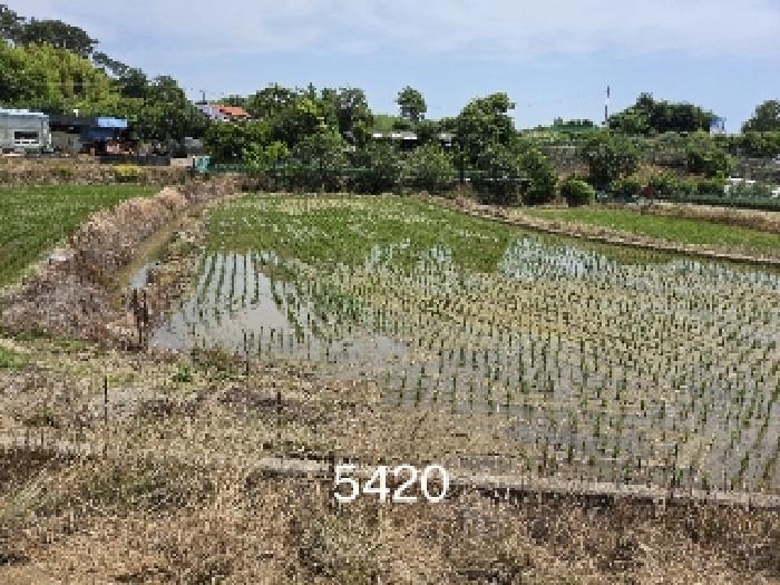 2025타경5420 사진