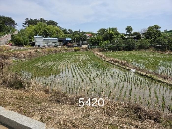 2025타경5420 사진