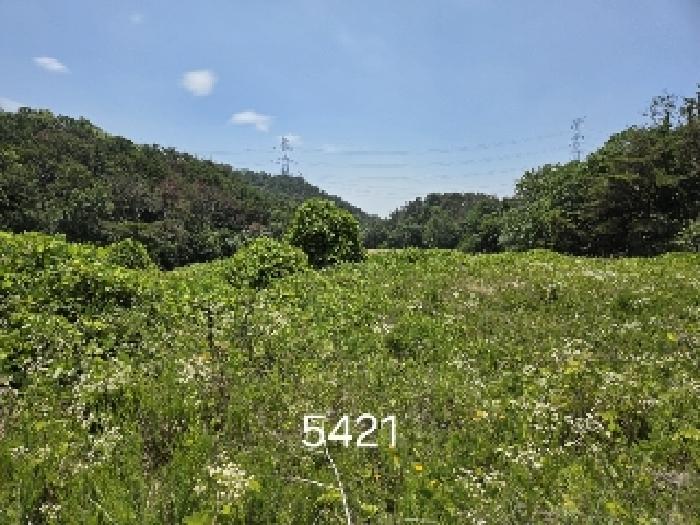 2025타경5421 사진