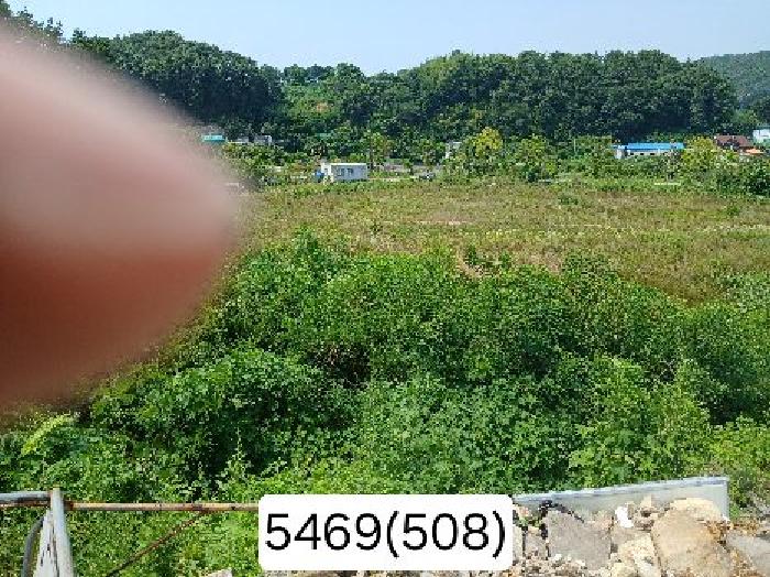 2025타경5469 사진
