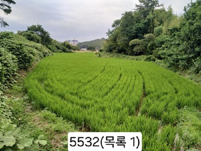 2025타경5532 사진