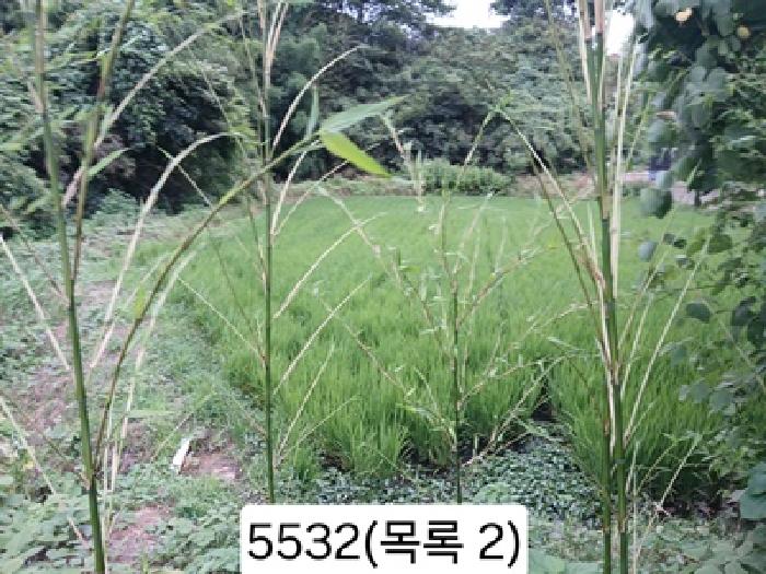 2025타경5532 사진