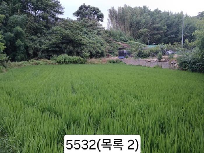 2025타경5532 사진