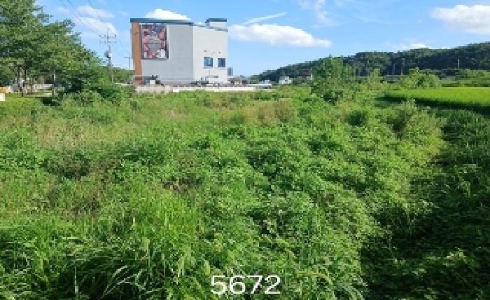 2025타경5672 사진