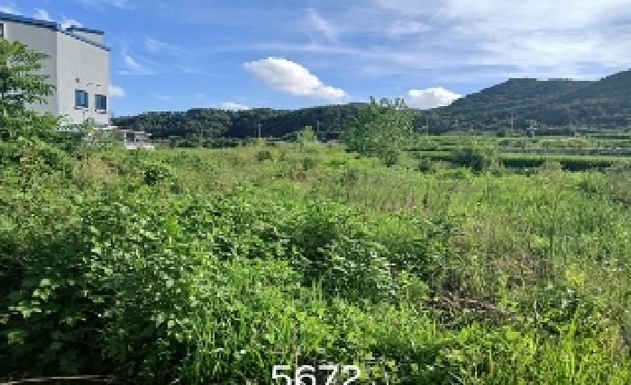 2025타경5672 사진