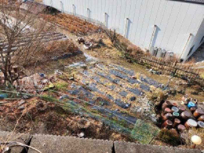 2025타경5851 사진
