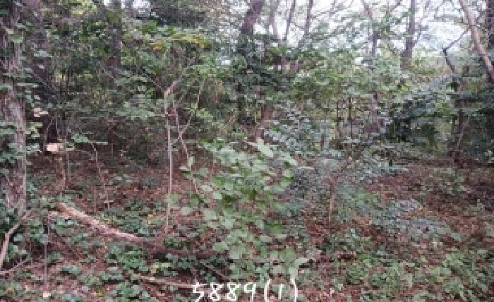 2025타경5889 사진