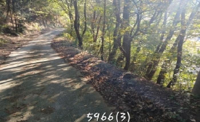 2025타경5966 사진