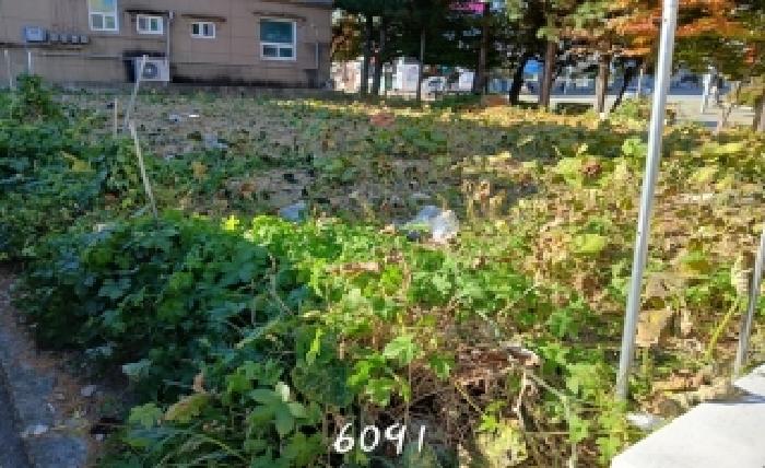 2025타경6091 사진