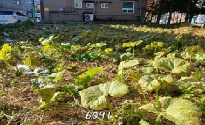 2025타경6091 사진