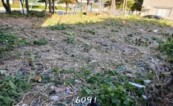 2025타경6091 사진