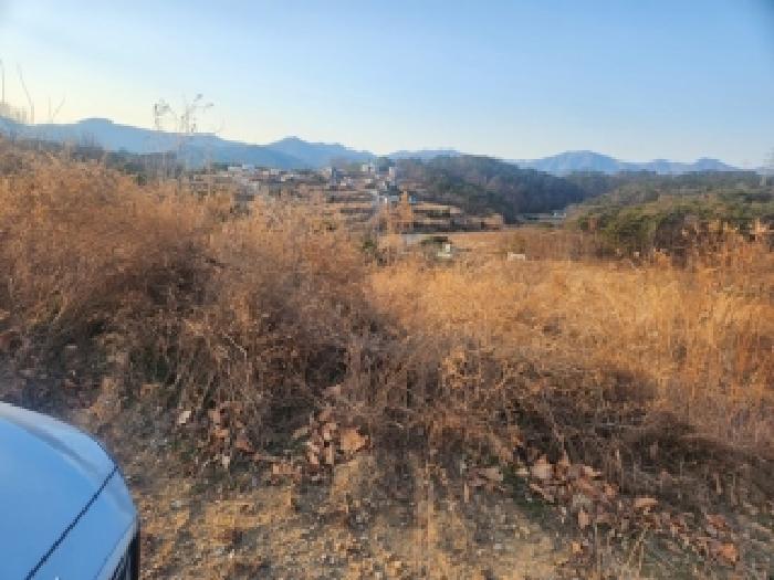 2025타경6311 사진