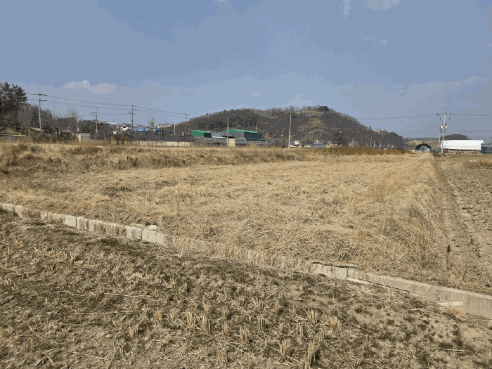 2025타경6431 사진