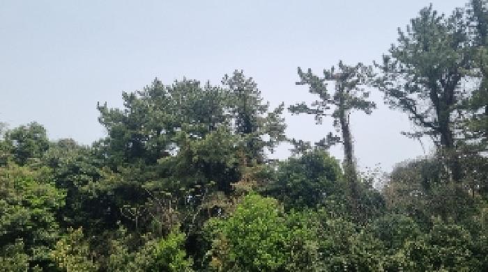 2025타경7828 사진