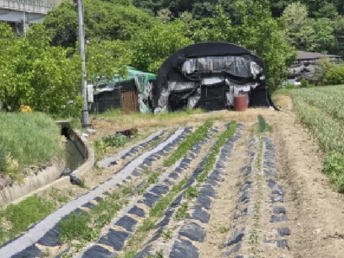 2025타경7848 사진