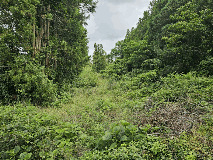 2025타경8178 사진