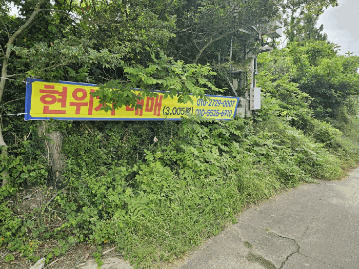 2025타경8178 사진