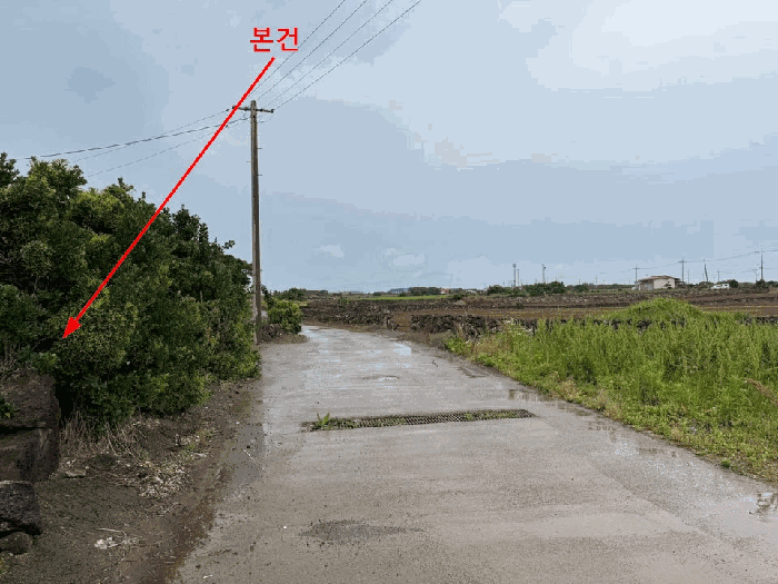 2025타경8215 사진