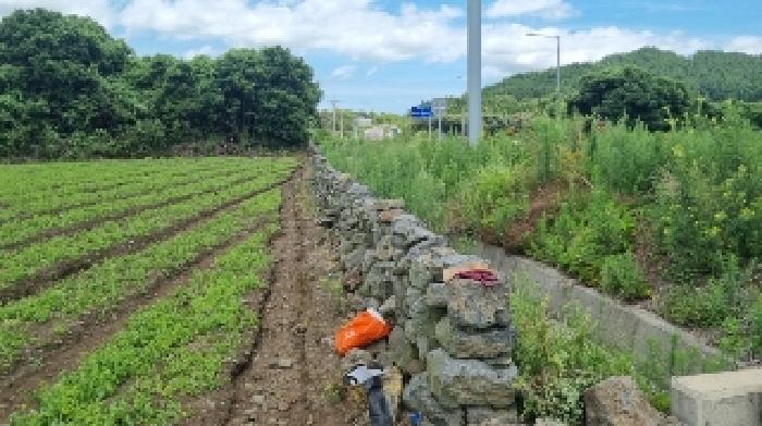 2025타경8241 사진
