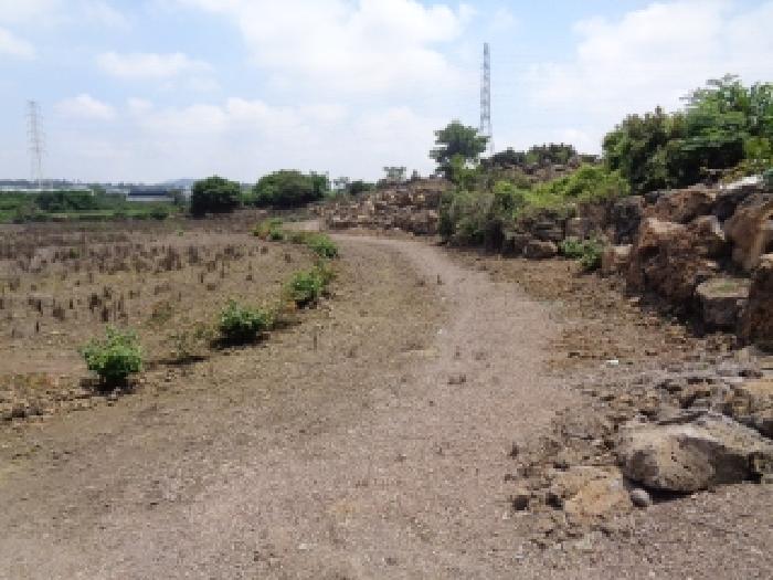 2025타경8286 사진