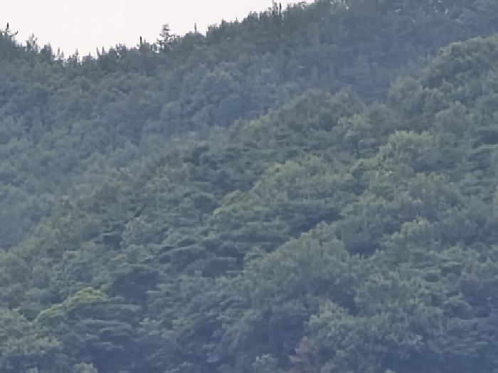 2025타경8560 사진