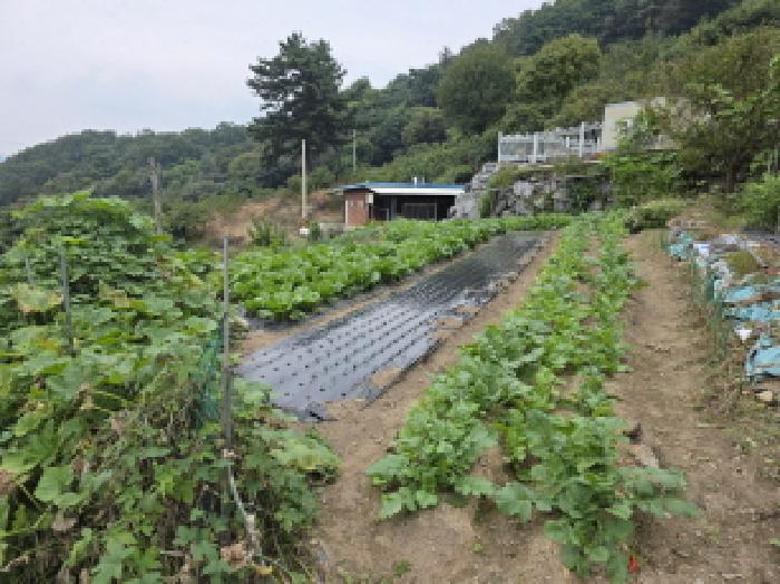 2025타경8748 사진
