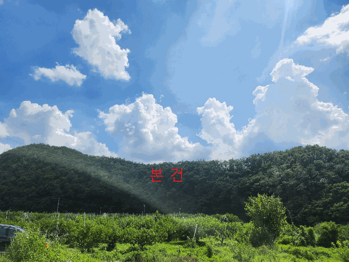 2025타경8800 사진
