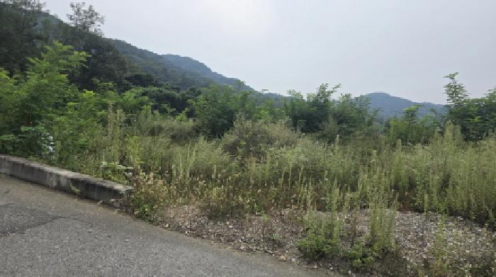 2025타경8957 사진