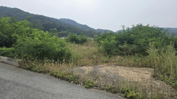 2025타경8957 사진