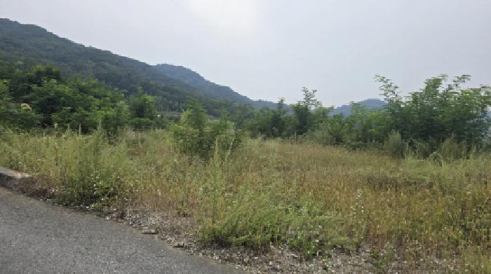 2025타경8957 사진