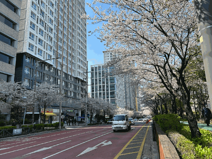 2025타경9402 사진