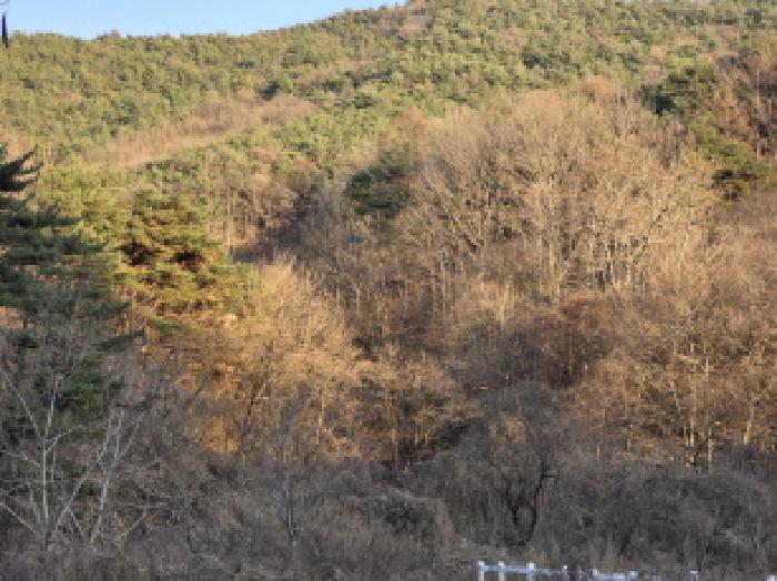 2025타경9478 사진