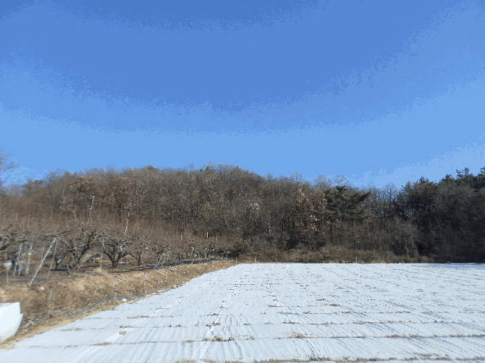 2025타경9928 사진