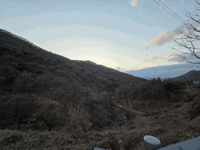 2025타경9976 사진