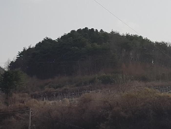 2025타경10140 사진
