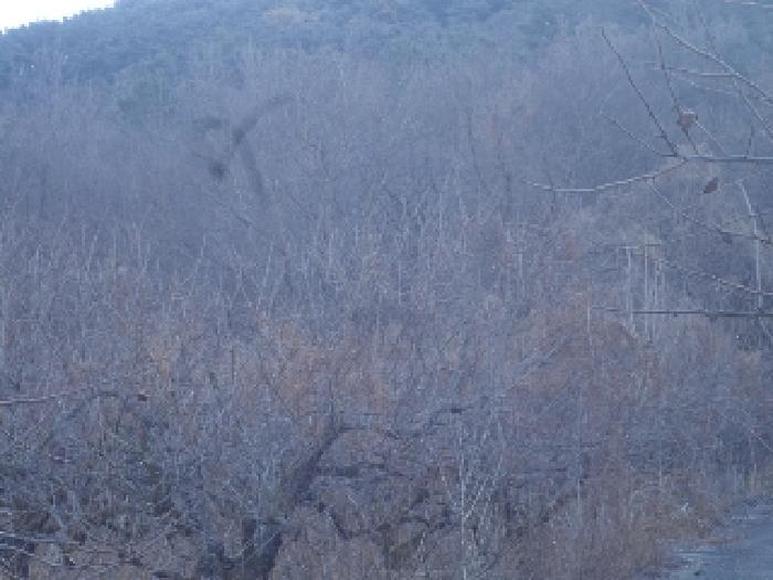 2025타경10152 사진