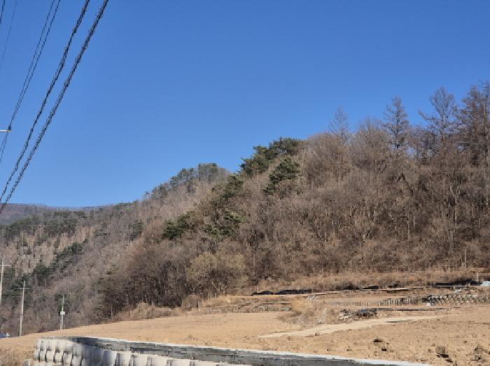2025타경10164 사진