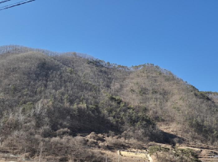 2025타경10164 사진