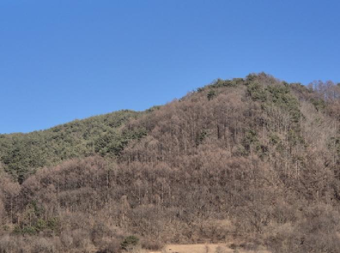 2025타경10164 사진