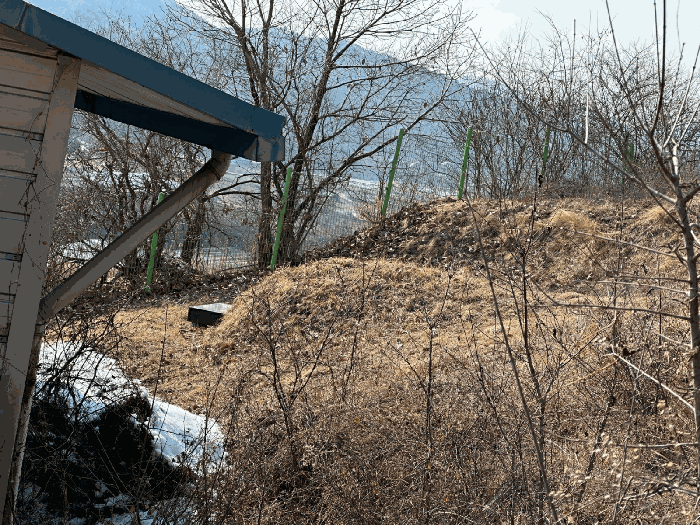 2025타경10166 사진