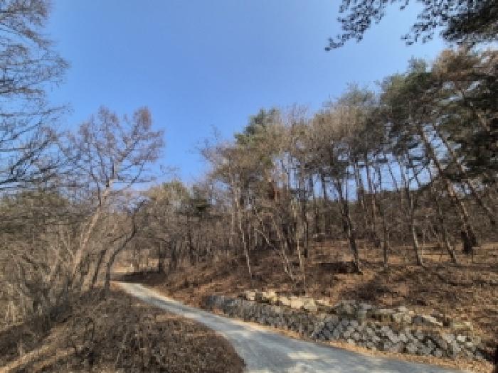 2025타경10184 사진