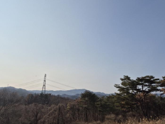 2025타경10184 사진