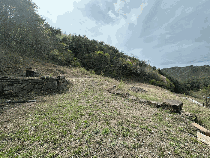 2025타경10209 사진