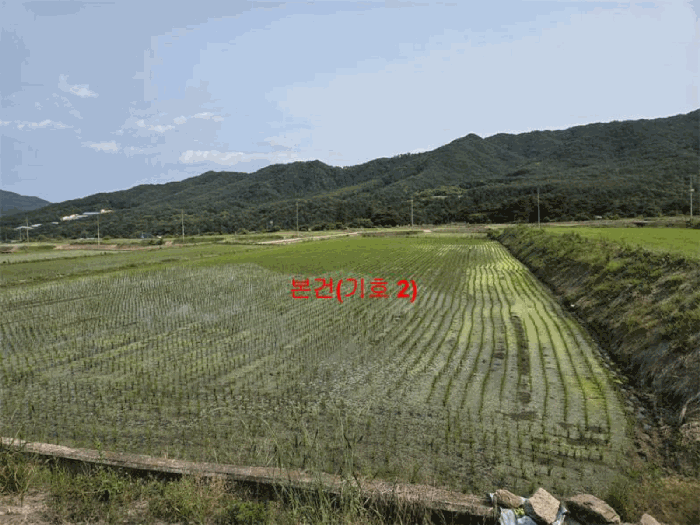 2025타경10229 사진