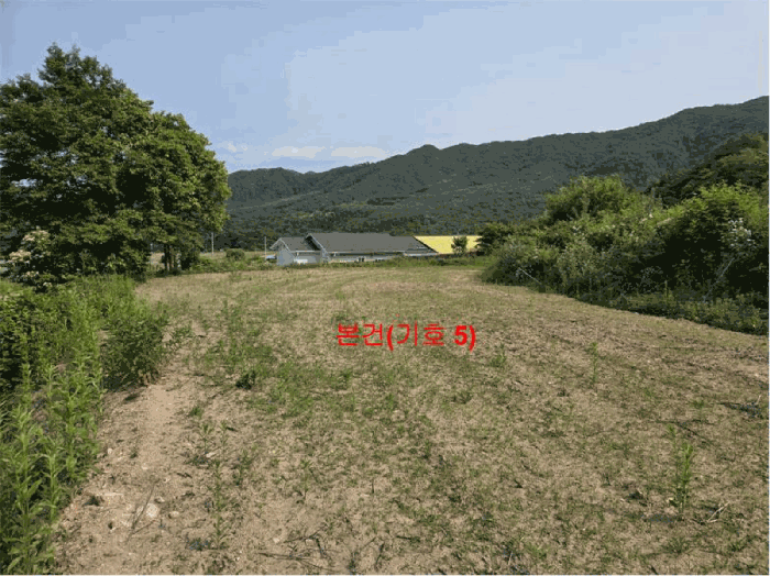 2025타경10229 사진