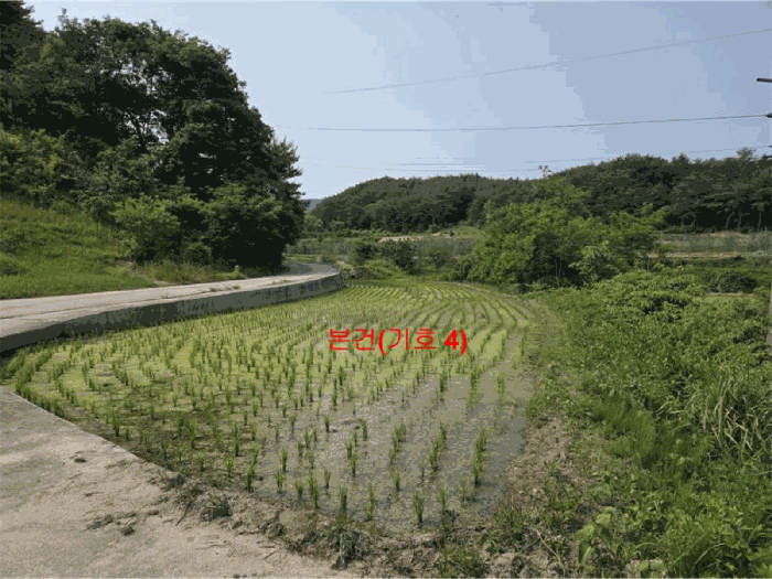 2025타경10229 사진
